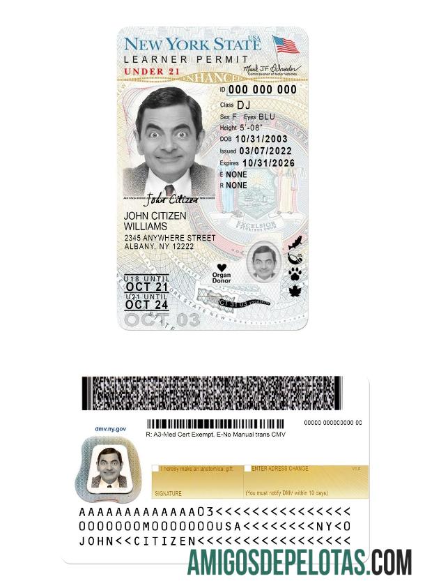 Carteira de habilitação dos EUA em Nova York para menores de 21 anos (versão 2) exemplo real